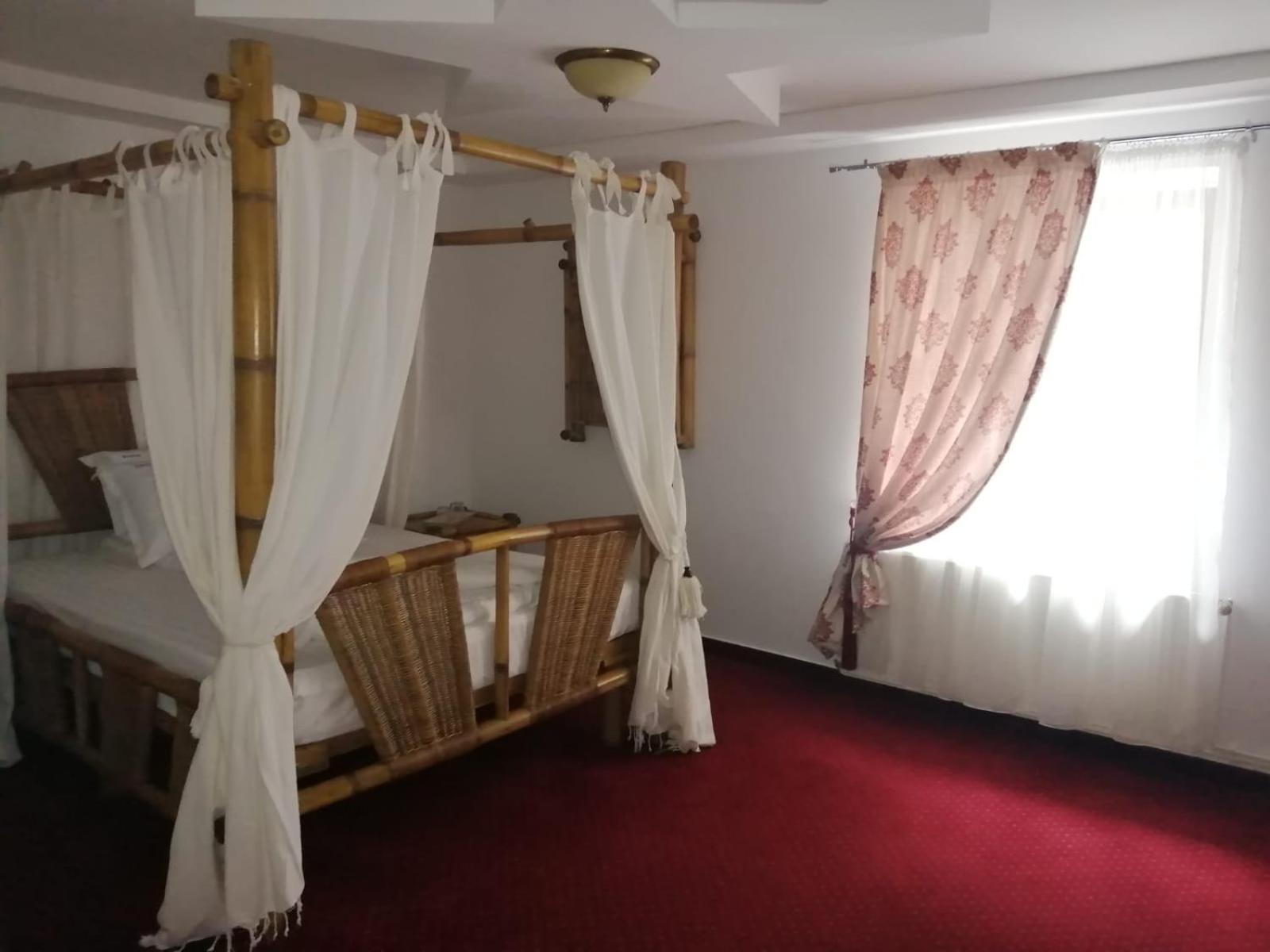 Pensiunea Rosenau Рышнов Экстерьер фото